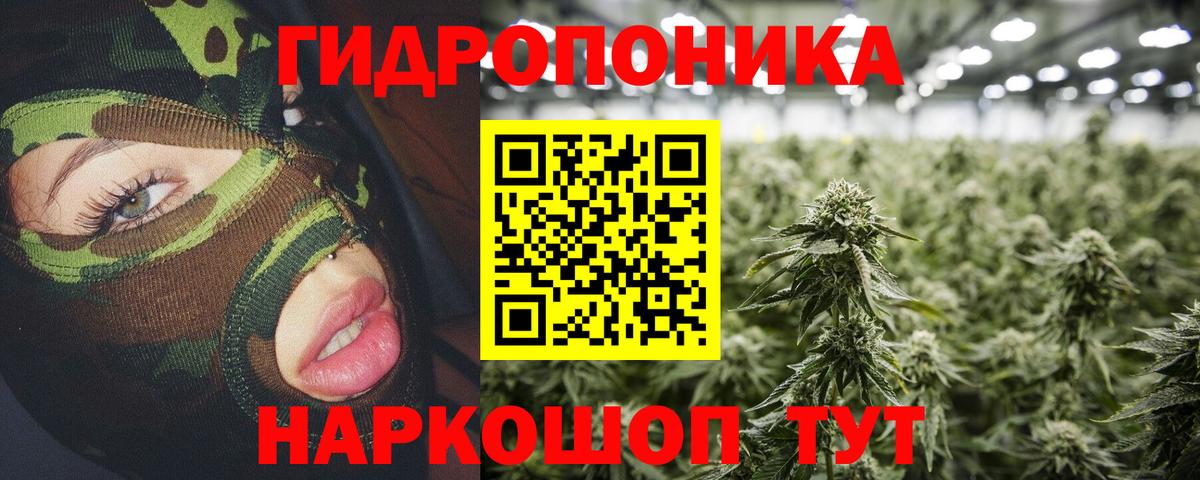 Канабис тримм  Вход с VPN  Дзержинск  Канабис марихуана  Бошки марихуана OG Kush 